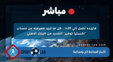 فائدة تصل إلى 20%.. كل ما تريد معرفته عن حساب “إكسترا توفير” الجديد من البنك الأهلي